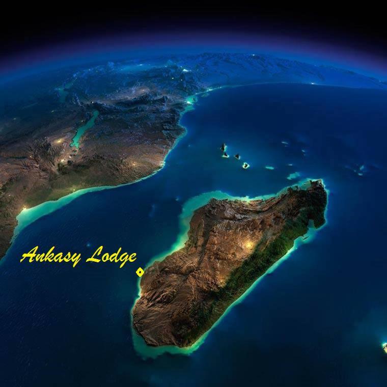 Ankasy Lodge Tsifota Eksteriør bilde